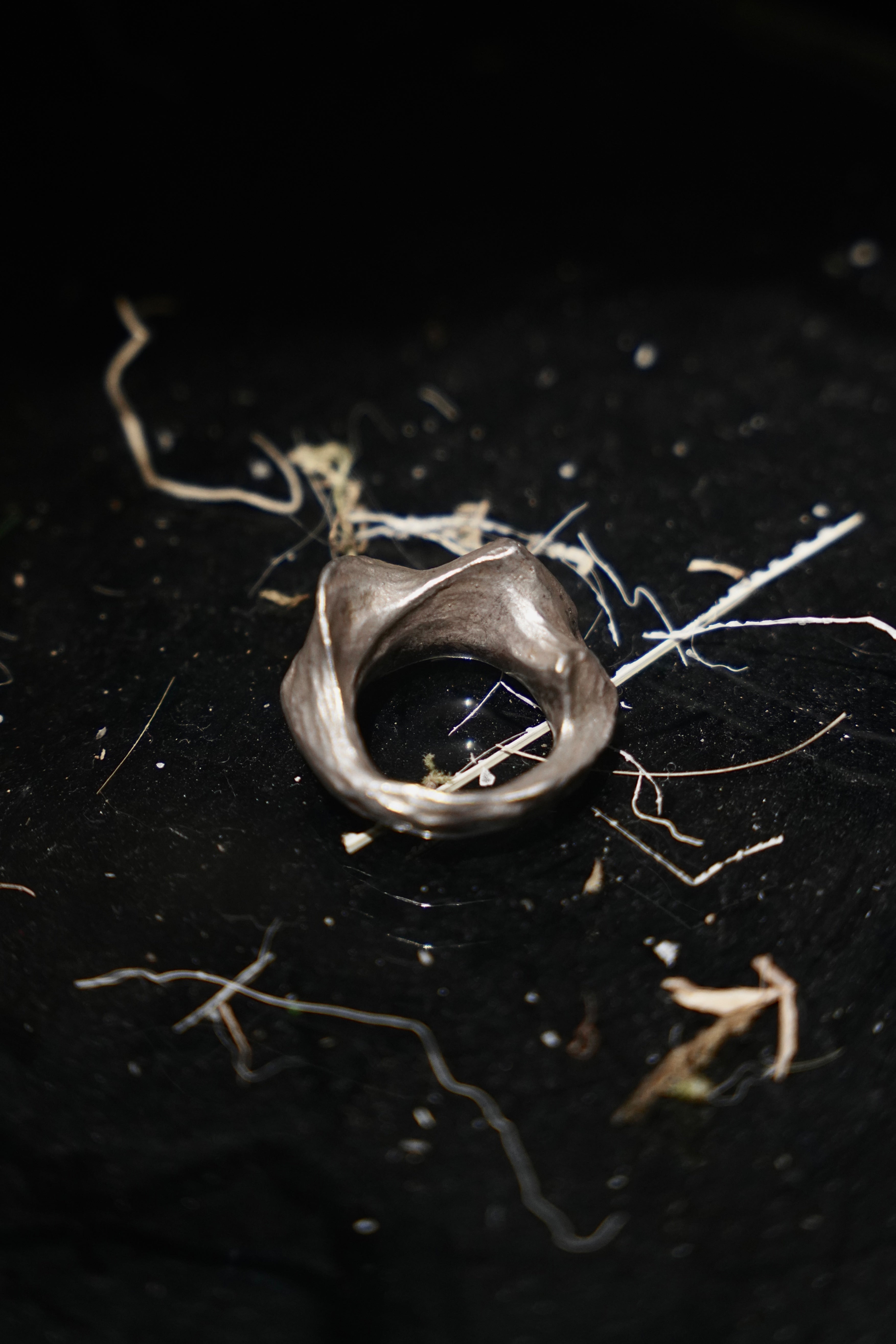 FLIUDUTY I ring [SDR001]