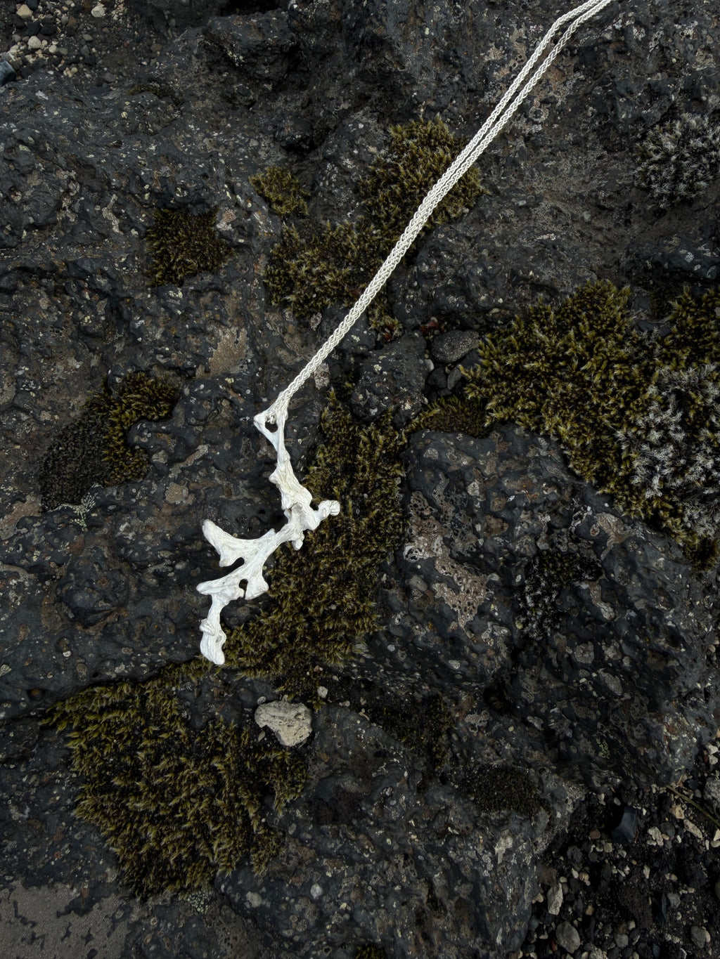 Unpruned necklace [CG003]