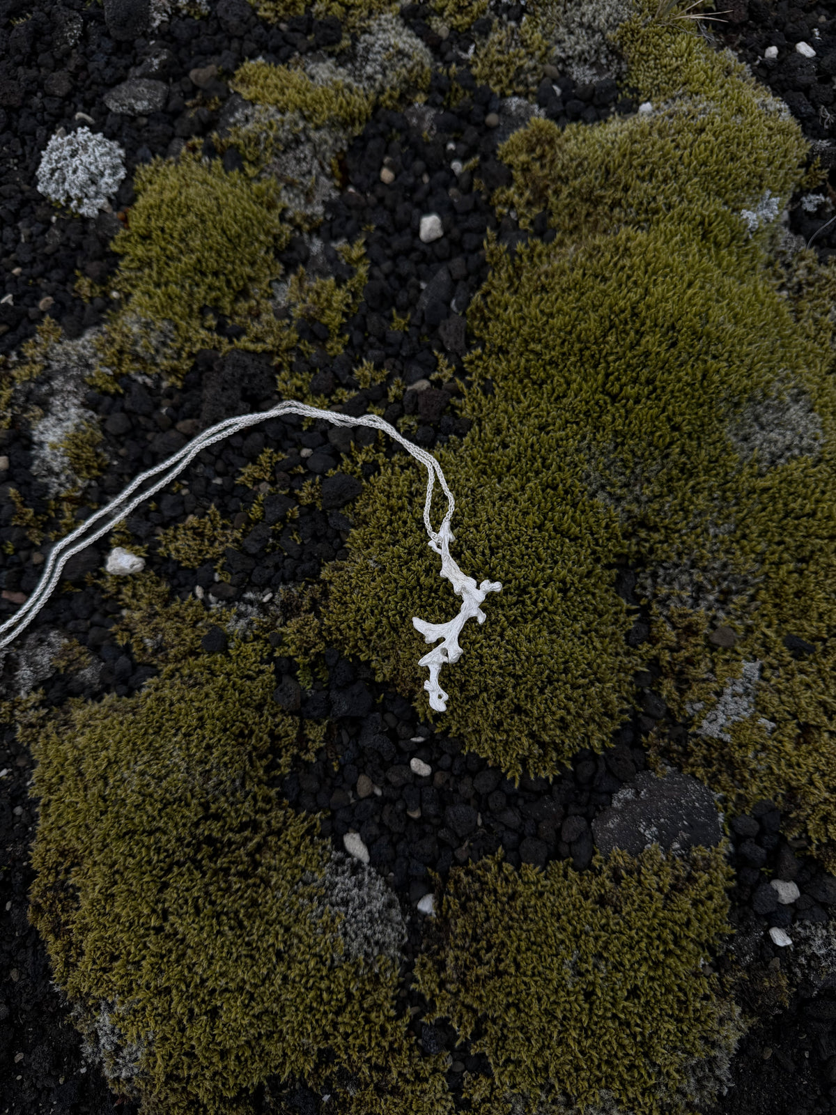 Unpruned necklace [CG003]
