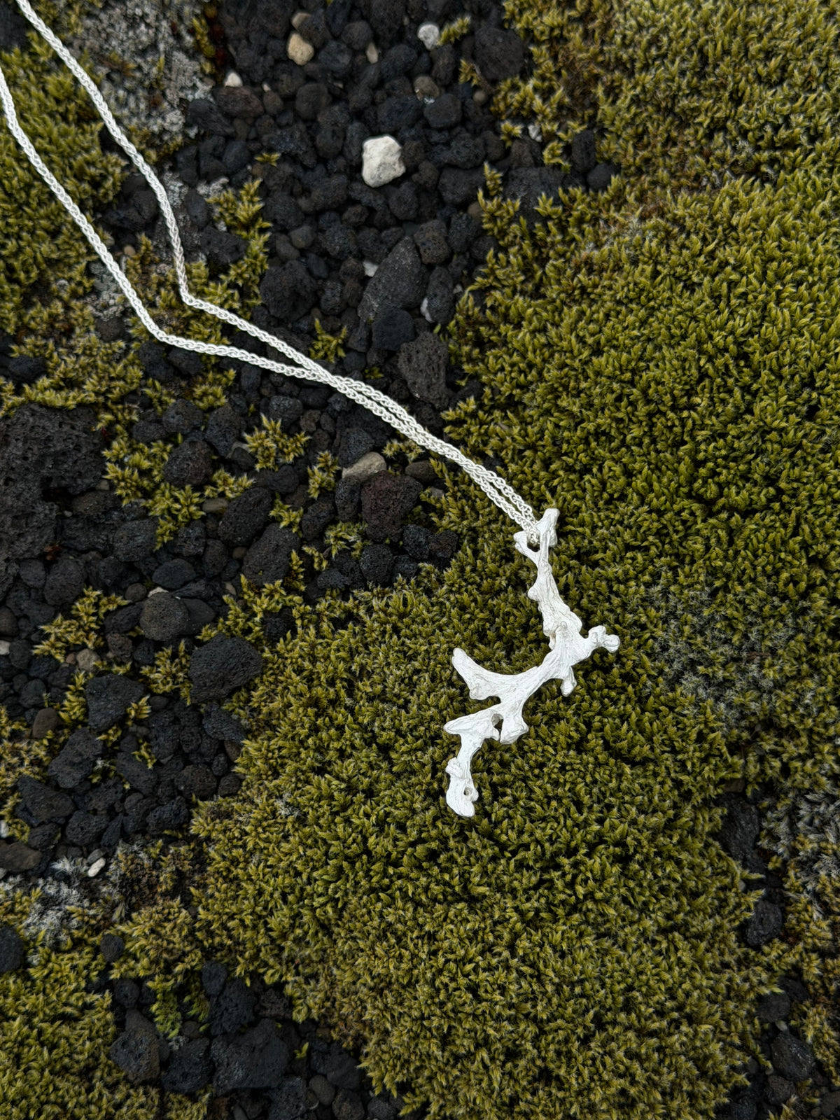 Unpruned necklace [CG003]